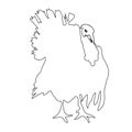 Turkey contour icon isolated on white background. Handdrawn outline gobbler illustration, vector eps 10 Royalty Free Stock Photo