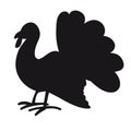 Turkey - black silhouette on a white background.