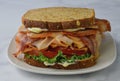 turkey blt sandwich Royalty Free Stock Photo