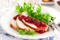 Turkey breast with cranberry sauce Royalty Free Stock Photo