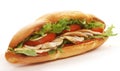 Turkey breast sadwich Royalty Free Stock Photo