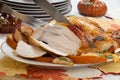 Turkey Breast With Sage - Honey Rub Royalty Free Stock Photo