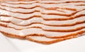 Turkey breast slices Royalty Free Stock Photo