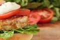 Turkey burger. Royalty Free Stock Photo