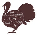 Turkey butcher diagram. Poultry meat cut guide