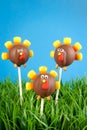 Turkey cake pops