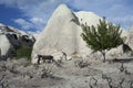 Turkey, Cappadocia.