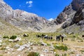 Turkey, Chamard - August 3, 2019: Tourists walk along the road through the mountain landscape in the Turkish national