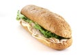 Turkey and cheese sub Royalty Free Stock Photo