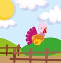 Turkey chicken fence hill field sun farm animal cartoon Royalty Free Stock Photo