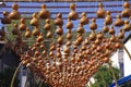 Turkey. city of Alanya. 09.16.22. Lanterns in plafonds made of pumpkins