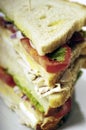 Turkey club sandwich Royalty Free Stock Photo