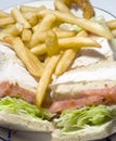 Turkey club sandwich french fries Royalty Free Stock Photo