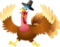 Scared Turkey Cartoon Characters With Pilgrim Hat Running Royalty Free Stock Photo