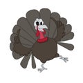 Turkey dancing. Sketch of funny cute cartoons bird hand drawn art design stock vector illustration