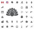 Thanksgiving Day Icon set. Design elements illlustration vector Royalty Free Stock Photo