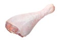 Turkey drumstick Royalty Free Stock Photo