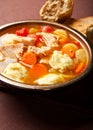 Turkey dumpling soup Royalty Free Stock Photo
