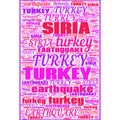 Turkey Earthquake News Updates Illustration Header