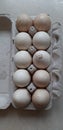10 Turkey eggs Royalty Free Stock Photo