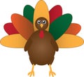 Turkey with Fall and Autumn Colors Royalty Free Stock Photo