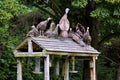 Turkey family gathereing on top of bird feeders