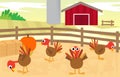 Turkey Farm Royalty Free Stock Photo