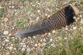 Turkey Feather Laying in Gravel Royalty Free Stock Photo