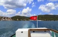 Turkey Flag. Royalty Free Stock Photo