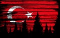 Turkey  flag painted with brush stroke on night sky in forest background,Symbols of Turkey, template for banner,advertising , Royalty Free Stock Photo