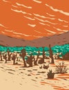 Turkey Flats Sand Dunes Located in Joshua Tree National Park in California WPA Poster Art