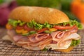 Turkey & ham sub with fresh veggies Royalty Free Stock Photo