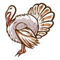 Turkey hand drawn icon. Thanksgiving day symbol. Domestic bird. Barnyard fowl.