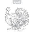 Turkey hand-drawn vector illustration.