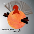 Turkey harvest moon