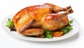 Turkey holiday thanksgiving meal stuffing food poultry dinner organic roast traditional cooked meat