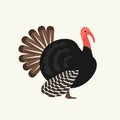 Turkey icon