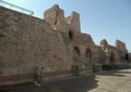 Turkey, Istanbul, 90 Hoca Cakir Cd., Palace of the Porphyrogenitus (Tekfur Sarayi), part of the Walls of Constantinople