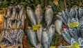 Various fish on the counter fish shop in Istanbul. Royalty Free Stock Photo