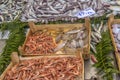 Various fish on the counter fish shop in Istanbul. Royalty Free Stock Photo