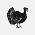 Turkey male silhouette. Farm animal icon