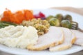 Turkey with mashed potatoes and stuffing