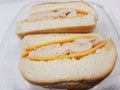 Turkey meat and cheese sandwich in plastic container Royalty Free Stock Photo