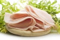 Turkey meat slices Royalty Free Stock Photo