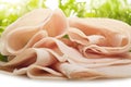 Turkey meat slices Royalty Free Stock Photo