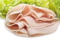 Turkey meat slices Royalty Free Stock Photo