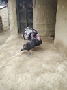 Turkey natural birds color black white mix