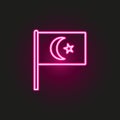 Turkey neon style icon. Simple thin line, outline vector of flags icons for ui and ux, website or mobile application