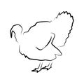 Turkey outline simple icon Royalty Free Stock Photo