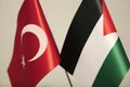 Turkey and Palestine flags